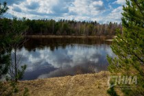 Пресс-тур по Керженскому заповеднику Нижегородской области