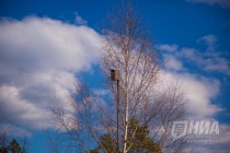 Пресс-тур по Керженскому заповеднику Нижегородской области