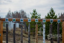 Пресс-тур по Керженскому заповеднику Нижегородской области
