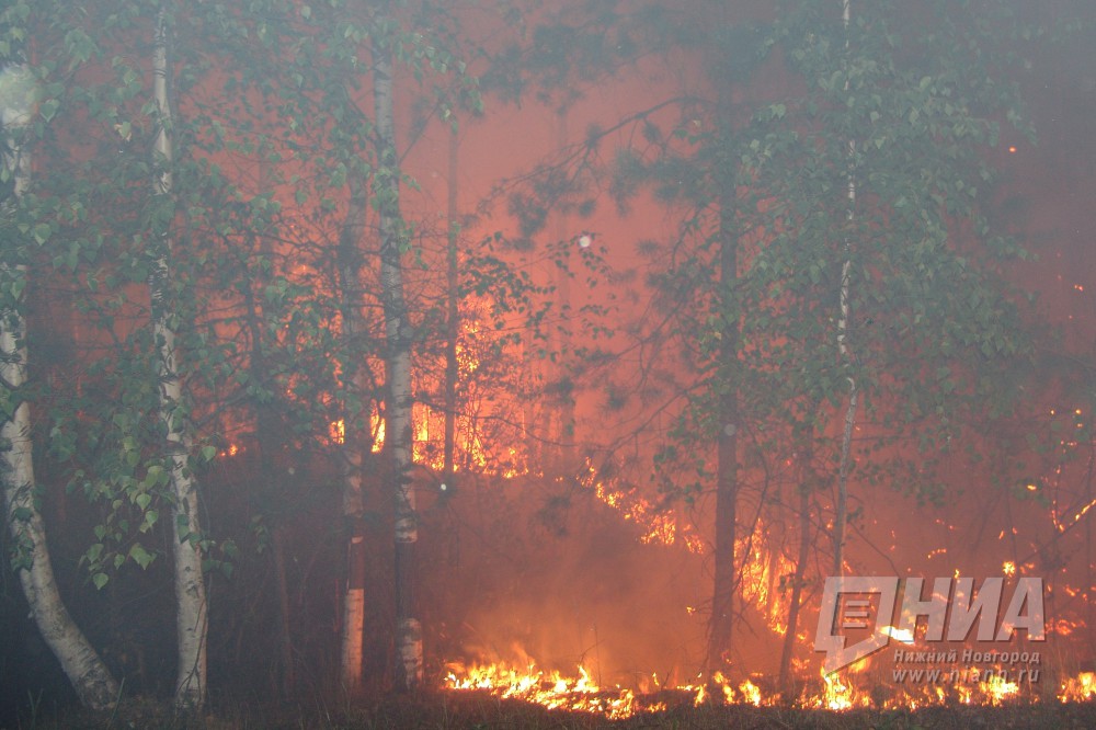 Высокая пожароопасность сохраняется в лесах и на торфяниках Нижегородской области