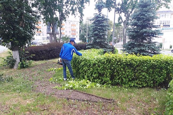 Нижегородская администрация заключила договор на благоустройство газонов на пл.Лядова Новости Нижнего Новгорода