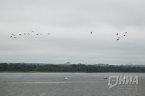 День города