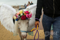 День города