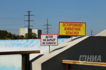 Первый праздник зебрёнка