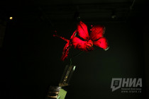 Скандал на сцене