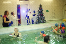 Ёлка на воде