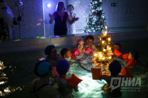 Ёлка на воде