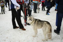 Лыжня России прошла в Нижнем Новгороде