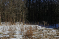 Офис врачей общей практики открылся в микрорайоне Цветы