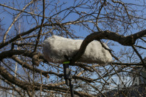 Съёмки пилотного эпизода по мотивам рассказов Николая Свечина завершились сегодня под Нижним Новгородом