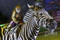 Бурлеск от Гии Эрадзе