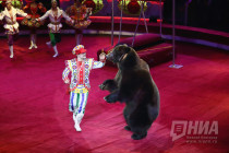 Бурлеск от Гии Эрадзе