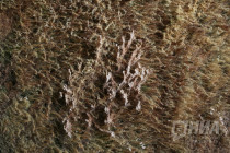 Гостиницу Россия сносят в Нижнем Новгороде