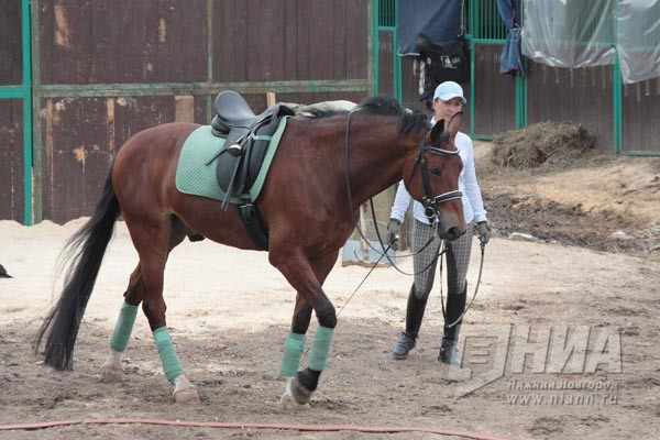 Нижегородская школа по современному пятиборью и конному спорту получит дополнительное оснащение