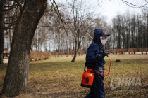 Дезинфекторы против вируса