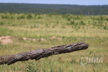 Учения на полигоне Мулино