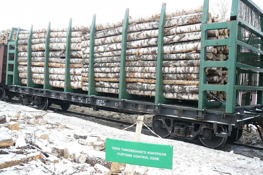Сотрудники Нижегородской таможни возбудили уголовное дело против директора фирмы, вывозившей лес в Китай
