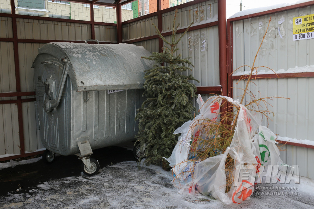 "Система вывоза крупногабаритного мусора в Нижнем Новгороде будет сбалансирована", - Глеб Никитин