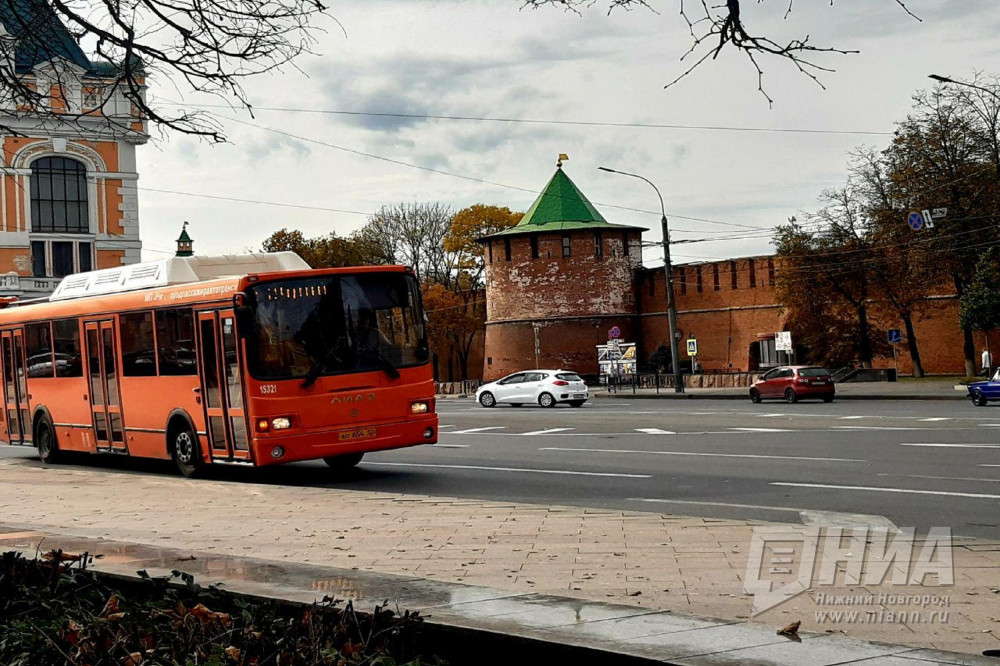 Коронавирус за прошедшие сутки подтвердился у 86 жителей Нижнего Новгорода