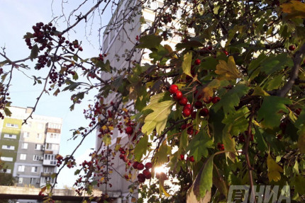 Осень в Нижнем Новгороде