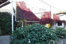 Осень в Нижнем Новгороде