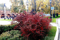 Осень в Нижнем Новгороде