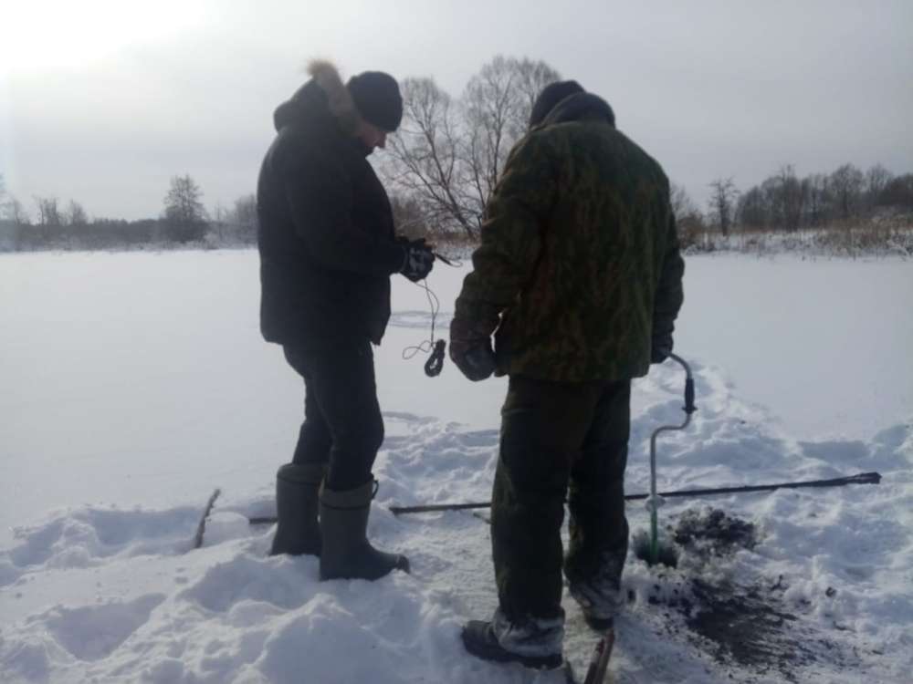 Проект расчистки рек Имза и Княгинка в Нижегородской области разработают к июню