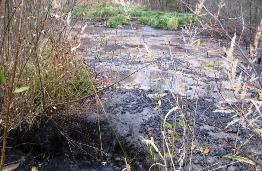 Суд признал "РЖД" виновным в загрязнении почвы нефтеотходами в Кстовском районе