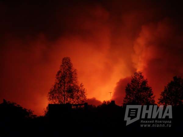 Артемовские луга горят в Нижегородской области на площади более 9 гектаров
