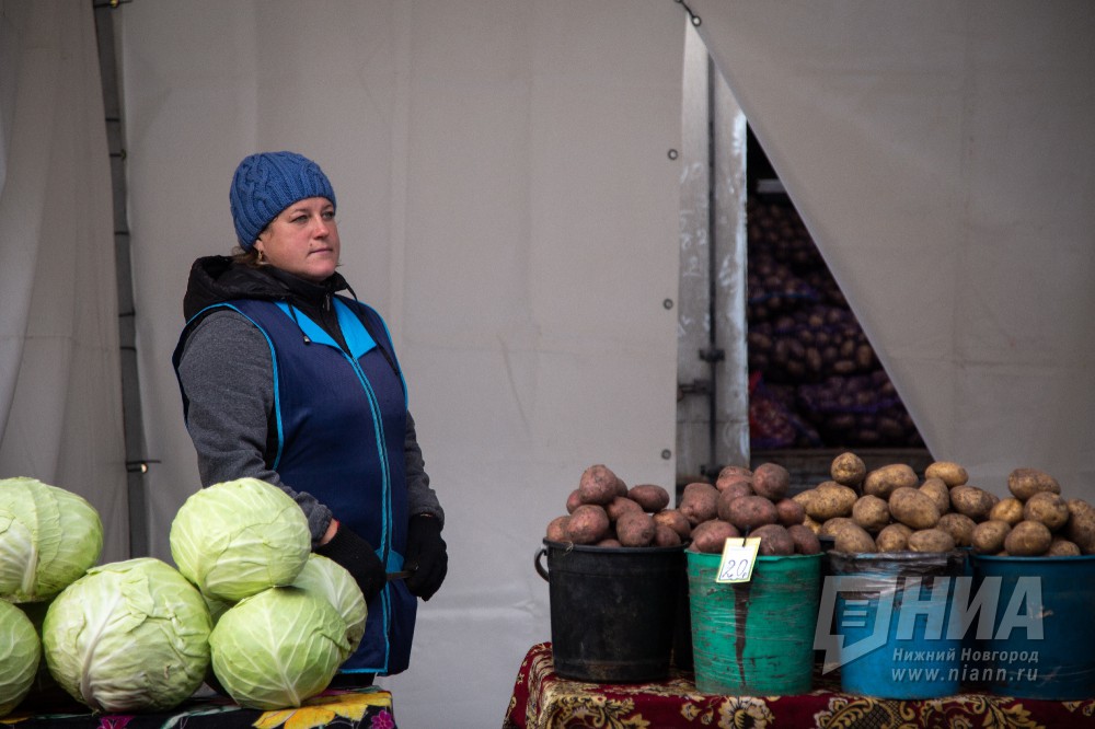 Сельхозпродукцию в Нижегородской области продают на 110 ярмарочных площадках