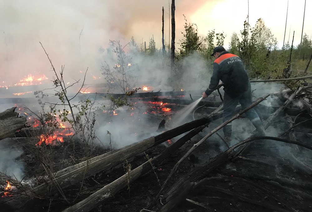 Два очага природных пожаров локализовано в Первомайском районе 