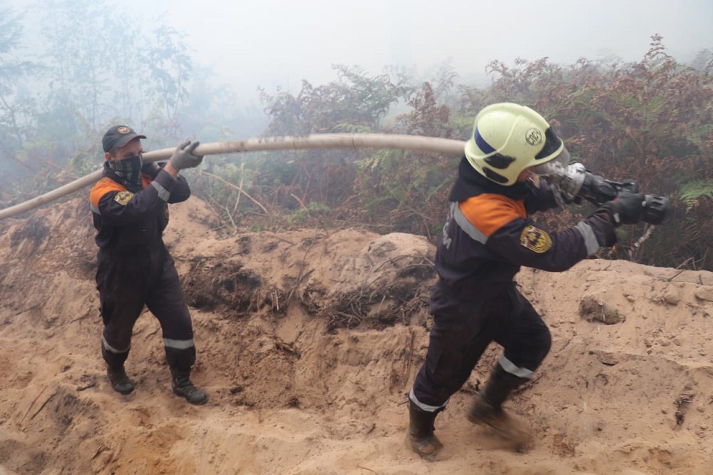 Несколько районов на юге Нижегородской области находятся под угрозой лесных пожаров