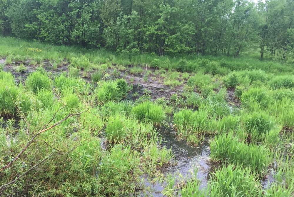 Воротынское коммунальное предприятие оштрафовали за слив сточных вод в реку без очистки