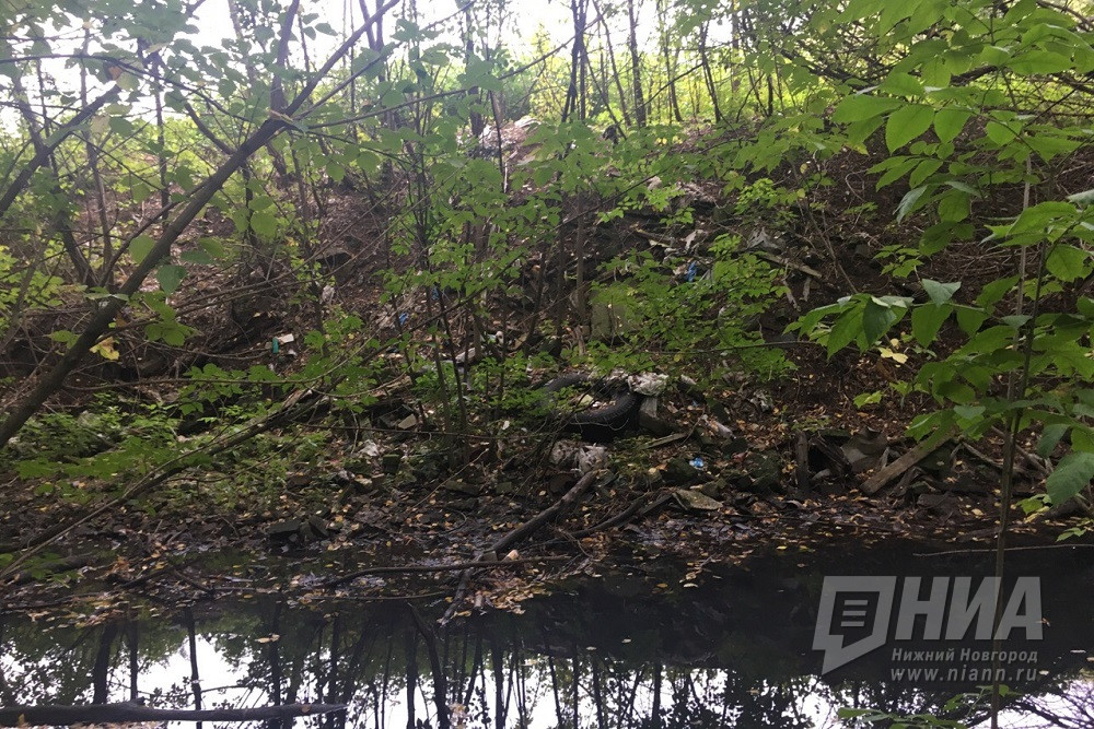 Комиссия Думы по экологии ознакомилась с планами по очистке реки Борзовки в Нижнем Новгороде
