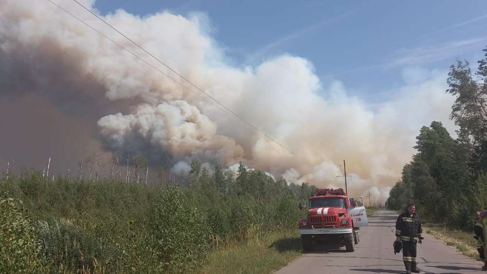 Штраф за разведение огня в лесах Нижнего Новгорода увеличен до 20 тысяч рублей