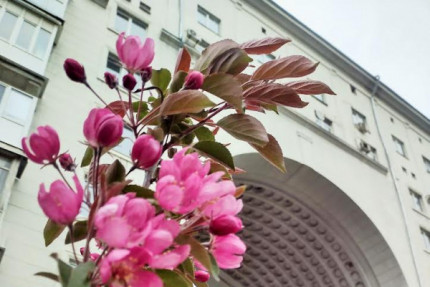 Фотоработы школьников для конкурса к 90-летию Автозавода Мир в кадре