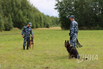 Всероссийский конкурс профессионального мастерства среди полицейских-кинологов