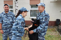 Всероссийский конкурс профессионального мастерства среди полицейских-кинологов