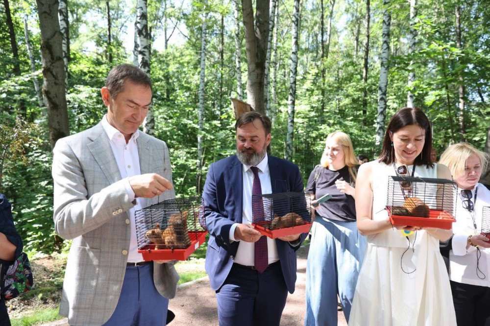 Белок из Калужского питомника выпустили в парке Швейцария Нижнего Новгорода