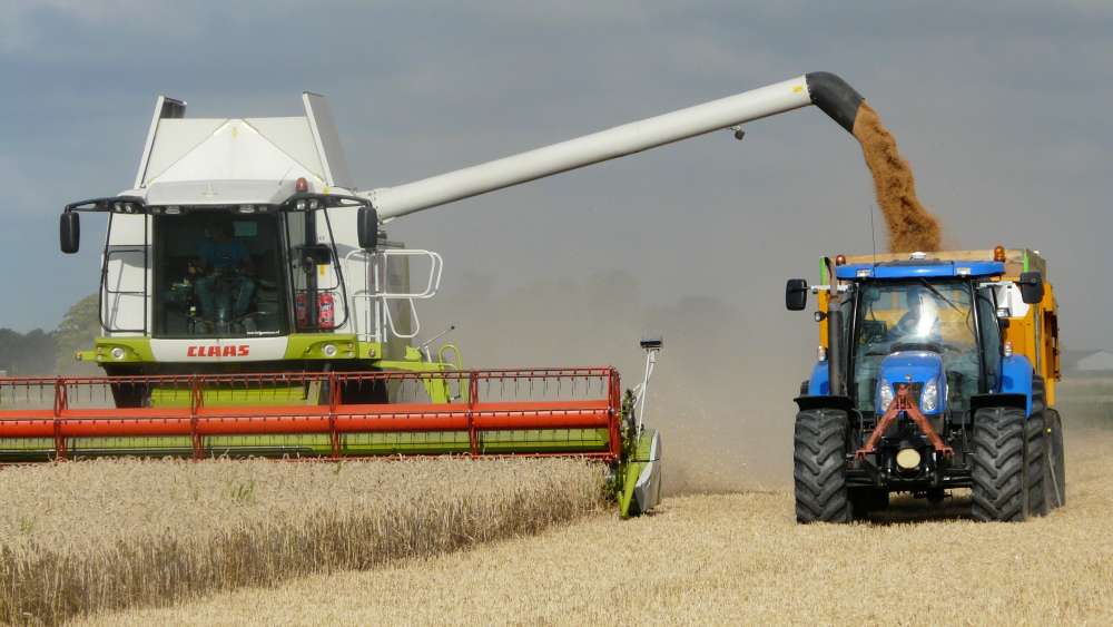 Уже более полумиллиона тонн зерна собрано в Нижегородской области