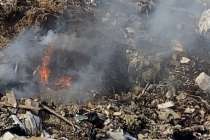 Несанкционированную свалку отходов обнаружили в Козинском лесничестве