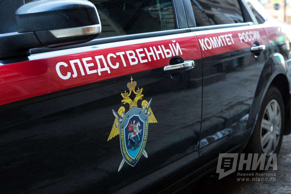 Александра Сочнева поместили под домашний арест