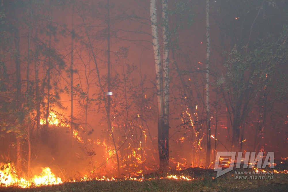 Пожарные из Тюмени и Татарстана прибыли тушить лесной пожар в Воротынском районе