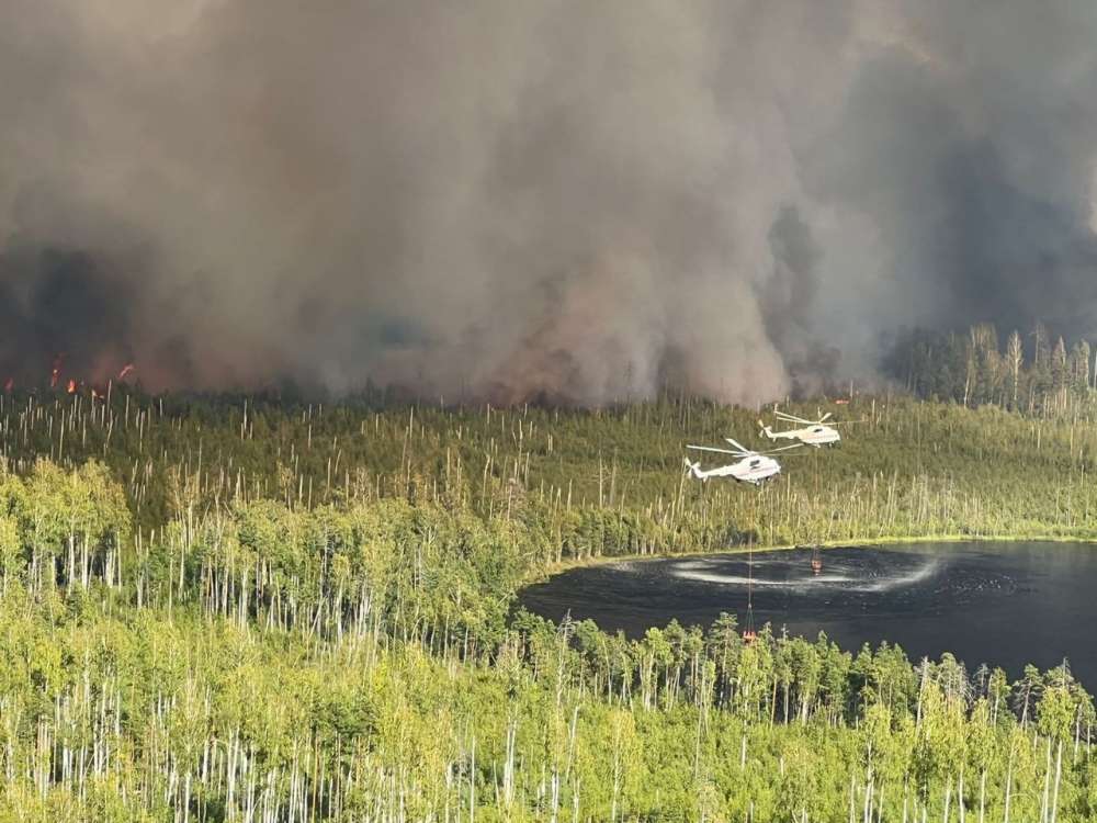 Площадь лесного пожара в Воротынском районе достигла почти 5000 га