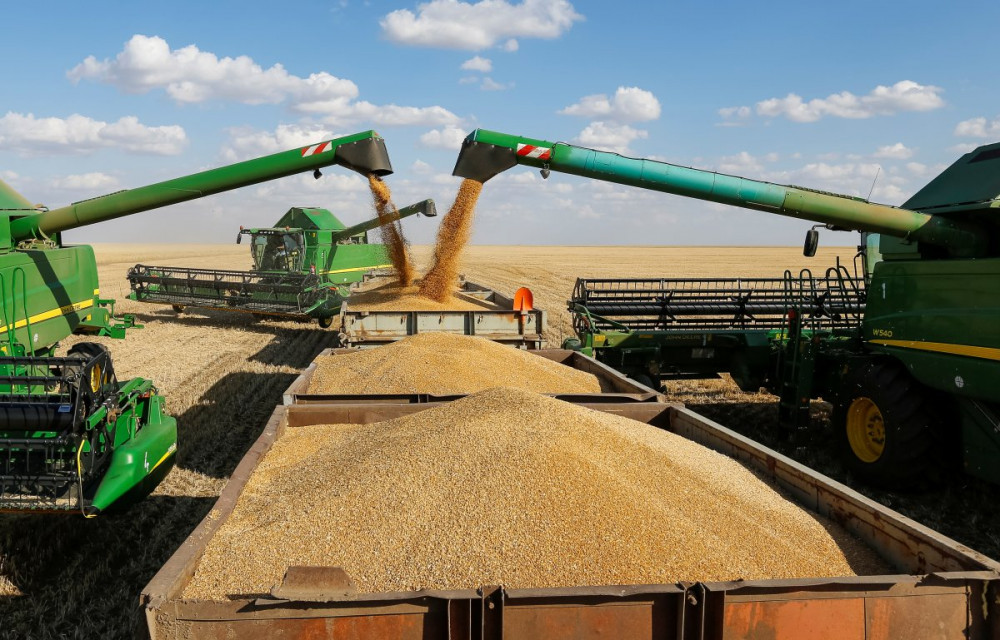 Урожай зерновых в Нижегородской области на 35% превысил прошлогодние показатели