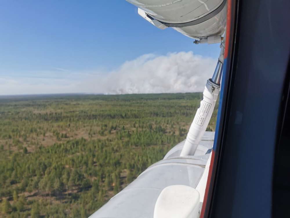 Площадь активного горения лесного пожара в Воротынском районе увеличилась до 360 га