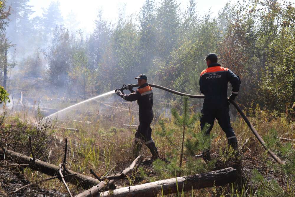 Площадь активного горения лесного пожара в Воротынском районе сократилась до 90 га