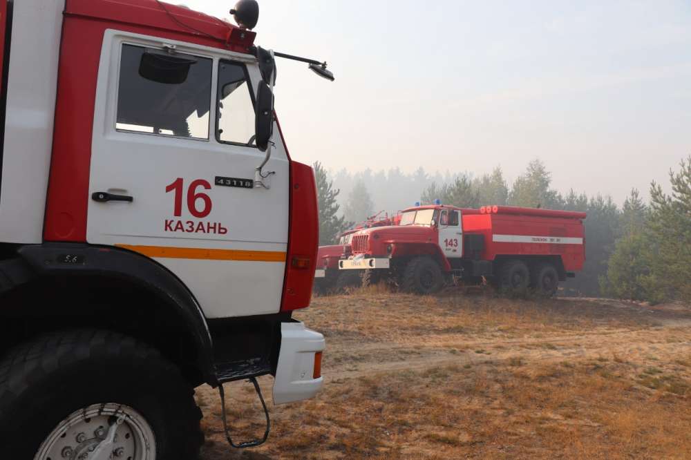 Площадь активного горения лесного пожара в Воротынском районе сократилась до 70 га
