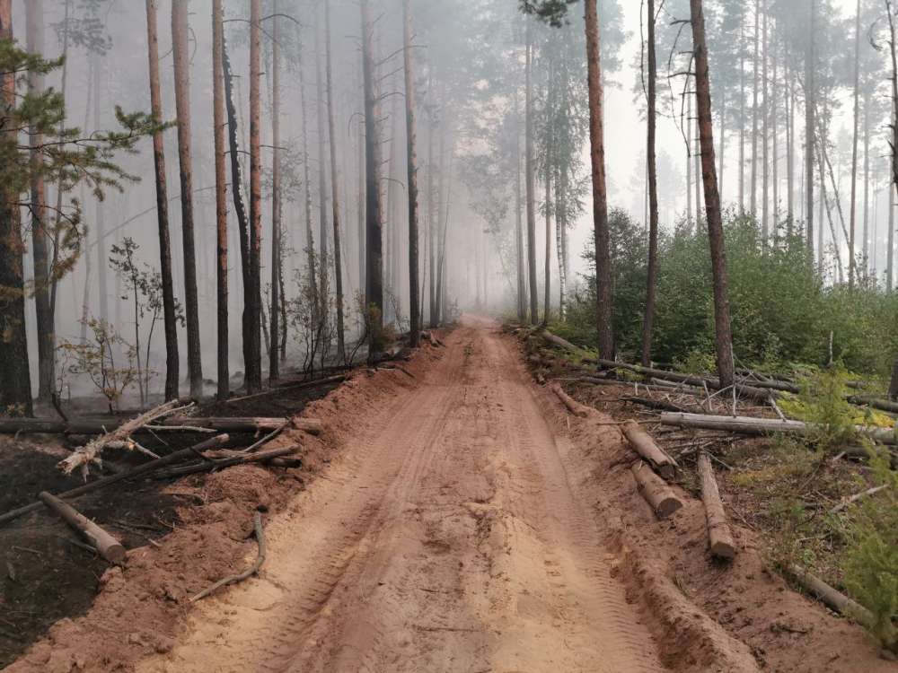 Площадь активного горения лесного пожара в Воротынском районе сократилась до 50 га