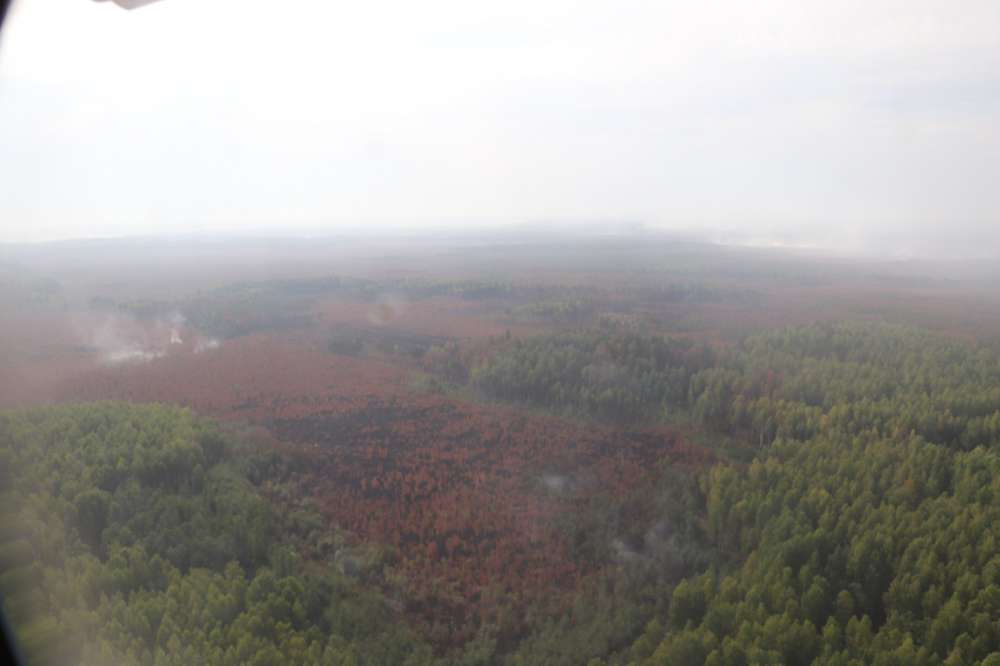 Площадь активного горения лесного пожара в Воротынском районе сократилась до 30 га